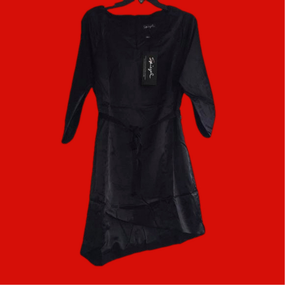 NWT Spiegel satin feel dress 14
